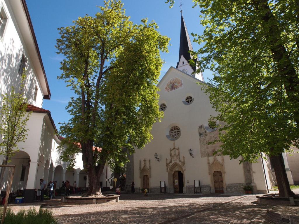 Kunstelj Pension Radovljica Extérieur photo